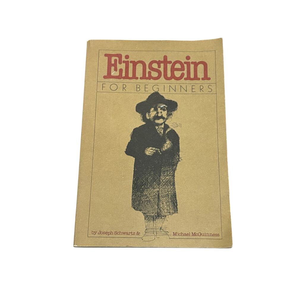 Einstein for Beginners Joseph Schwartz Michael McGuinness 1979 Vintage Paperback